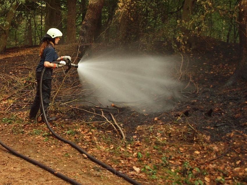 Waldbrand Bergisch Gladbach Bensberg P164.JPG